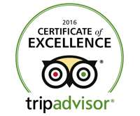 Certificate of Excellence 2016