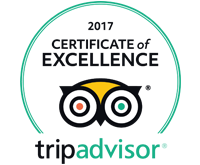 Certificate of Excellence 2017